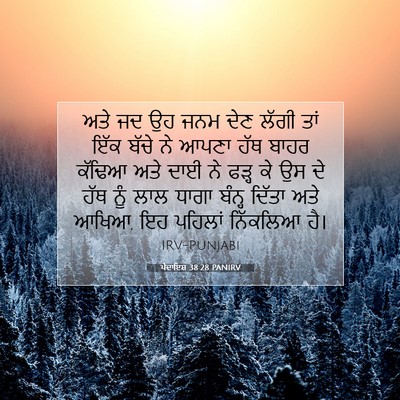 Picture 07 - ਪੈਦਾਇਸ਼ 38:28 PANIRV - ਅਤੇ ਜਦ ਉਹ ਜਨਮ ਦੇਣ - Bible Verse Picture
