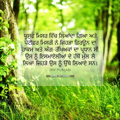 Picture 07 - ਪੈਦਾਇਸ਼ 39:1 PANIRV - ਯੂਸੁਫ਼ ਮਿਸਰ ਵਿੱਚ - Bible Verse Picture