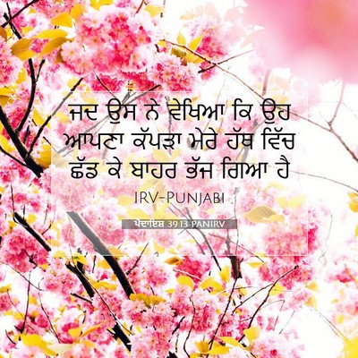 Picture 07 - ਪੈਦਾਇਸ਼ 39:13 PANIRV - ਜਦ ਉਸ ਨੇ ਵੇਖਿਆ ਕਿ - Bible Verse Picture