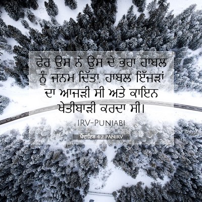Picture 07 - ਪੈਦਾਇਸ਼ 4:2 PANIRV - ਫੇਰ ਉਸ ਨੇ ਉਸ ਦੇ ਭਰਾ - Bible Verse Picture