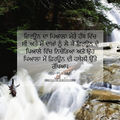 Picture 07 - ਪੈਦਾਇਸ਼ 40:11 PANIRV - ਫ਼ਿਰਊਨ ਦਾ ਪਿਆਲਾ - Bible Verse Picture