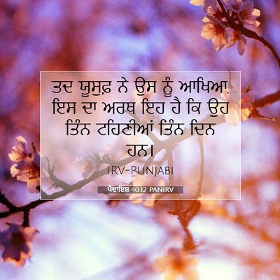 Picture 07 - ਪੈਦਾਇਸ਼ 40:12 PANIRV - ਤਦ ਯੂਸੁਫ਼ ਨੇ ਉਸ ਨੂੰ - Bible Verse Picture