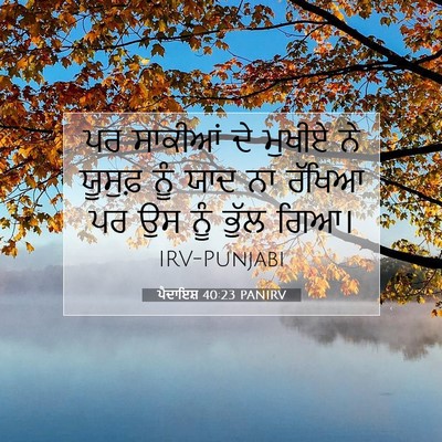 Picture 07 - ਪੈਦਾਇਸ਼ 40:23 PANIRV - ਪਰ ਸਾਕੀਆਂ ਦੇ ਮੁਖੀਏ - Bible Verse Picture