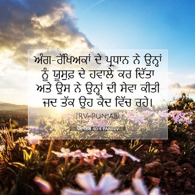 Picture 07 - ਪੈਦਾਇਸ਼ 40:4 PANIRV - ਅੰਗ-ਰੱਖਿਅਕਾਂ ਦੇ - Bible Verse Picture