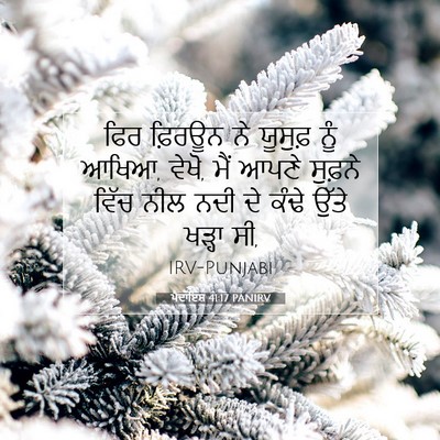 Picture 07 - ਪੈਦਾਇਸ਼ 41:17 PANIRV - ਫਿਰ ਫ਼ਿਰਊਨ ਨੇ - Bible Verse Picture