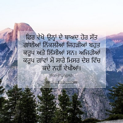 Picture 07 - ਪੈਦਾਇਸ਼ 41:19 PANIRV - ਫਿਰ ਵੇਖੋ, ਉਨ੍ਹਾਂ ਦੇ - Bible Verse Picture