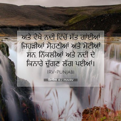 Picture 07 - ਪੈਦਾਇਸ਼ 41:2 PANIRV - ਅਤੇ ਵੇਖੋ ਨਦੀ - Bible Verse Picture