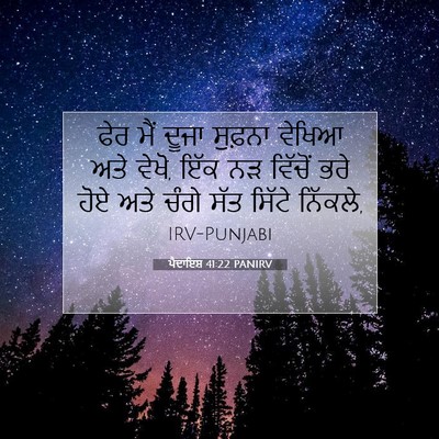 Picture 07 - ਪੈਦਾਇਸ਼ 41:22 PANIRV - ਫੇਰ ਮੈਂ ਦੂਜਾ - Bible Verse Picture