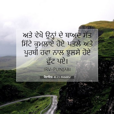 Picture 07 - ਪੈਦਾਇਸ਼ 41:23 PANIRV - ਅਤੇ ਵੇਖੋ ਉਨ੍ਹਾਂ ਦੇ - Bible Verse Picture