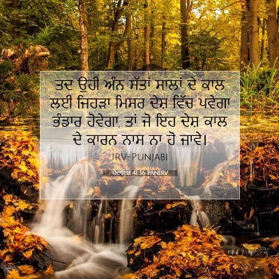Picture 07 - ਪੈਦਾਇਸ਼ 41:36 PANIRV - ਤਦ ਉਹੀ ਅੰਨ ਸੱਤਾਂ - Bible Verse Picture