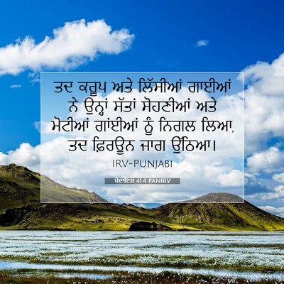 Picture 07 - ਪੈਦਾਇਸ਼ 41:4 PANIRV - ਤਦ ਕਰੂਪ ਅਤੇ - Bible Verse Picture