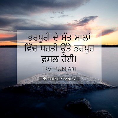 Picture 07 - ਪੈਦਾਇਸ਼ 41:47 PANIRV - ਭਰਪੂਰੀ ਦੇ ਸੱਤ - Bible Verse Picture