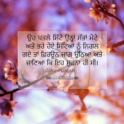 Picture 07 - ਪੈਦਾਇਸ਼ 41:7 PANIRV - ਉਹ ਪਤਲੇ ਸਿੱਟੇ - Bible Verse Picture