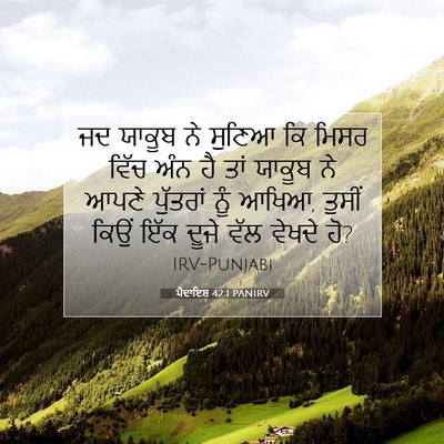 Picture 07 - ਪੈਦਾਇਸ਼ 42:1 PANIRV - ਜਦ ਯਾਕੂਬ ਨੇ ਸੁਣਿਆ - Bible Verse Picture
