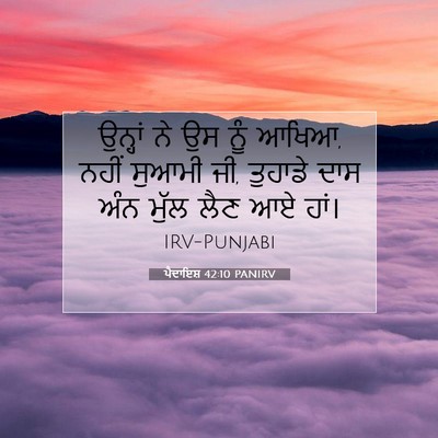 Picture 07 - ਪੈਦਾਇਸ਼ 42:10 PANIRV - ਉਨ੍ਹਾਂ ਨੇ ਉਸ ਨੂੰ - Bible Verse Picture