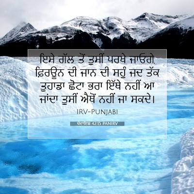 Picture 07 - ਪੈਦਾਇਸ਼ 42:15 PANIRV - ਇਸੇ ਗੱਲ ਤੋਂ ਤੁਸੀਂ - Bible Verse Picture