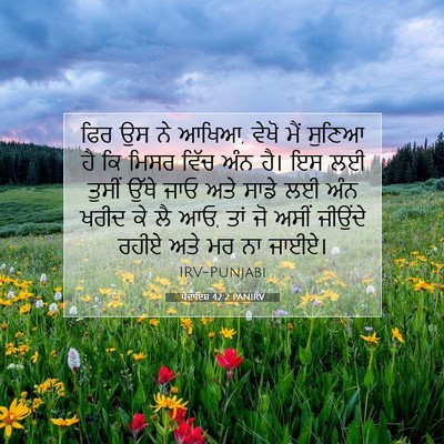 Picture 07 - ਪੈਦਾਇਸ਼ 42:2 PANIRV - ਫਿਰ ਉਸ ਨੇ ਆਖਿਆ, - Bible Verse Picture