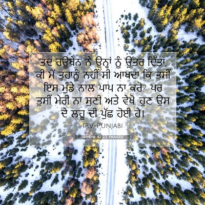 Picture 07 - ਪੈਦਾਇਸ਼ 42:22 PANIRV - ਤਦ ਰਊਬੇਨ ਨੇ ਉਨ੍ਹਾਂ - Bible Verse Picture
