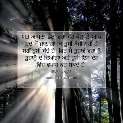 Picture 07 - ਪੈਦਾਇਸ਼ 42:34 PANIRV - ਅਤੇ ਆਪਣਾ ਛੋਟਾ ਭਰਾ - Bible Verse Picture