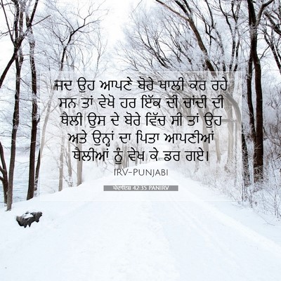 Picture 07 - ਪੈਦਾਇਸ਼ 42:35 PANIRV - ਜਦ ਉਹ ਆਪਣੇ ਬੋਰੇ - Bible Verse Picture