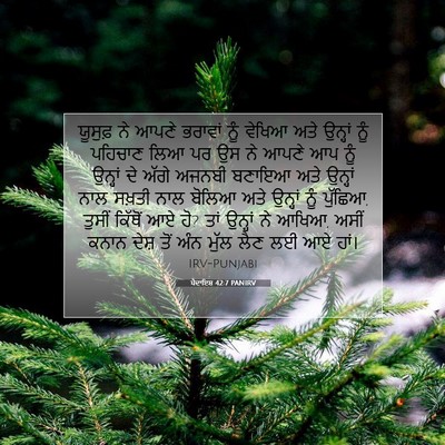 Picture 07 - ਪੈਦਾਇਸ਼ 42:7 PANIRV - ਯੂਸੁਫ਼ ਨੇ ਆਪਣੇ - Bible Verse Picture