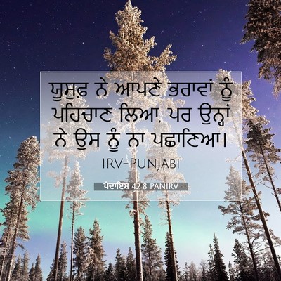 Picture 07 - ਪੈਦਾਇਸ਼ 42:8 PANIRV - ਯੂਸੁਫ਼ ਨੇ ਆਪਣੇ - Bible Verse Picture