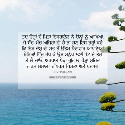 Picture 07 - ਪੈਦਾਇਸ਼ 43:11 PANIRV - ਤਦ ਉਨ੍ਹਾਂ ਦੇ ਪਿਤਾ - Bible Verse Picture