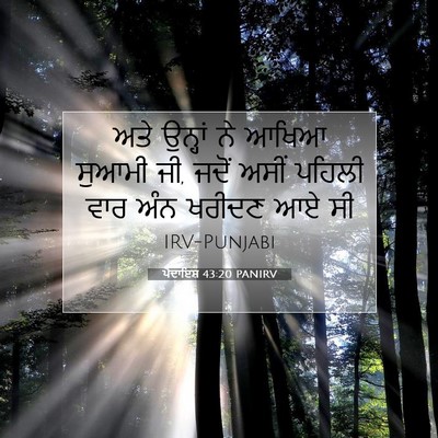 Picture 07 - ਪੈਦਾਇਸ਼ 43:20 PANIRV - ਅਤੇ ਉਨ੍ਹਾਂ ਨੇ ਆਖਿਆ - Bible Verse Picture