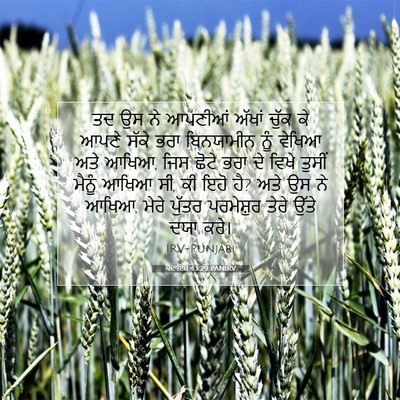 Picture 07 - ਪੈਦਾਇਸ਼ 43:29 PANIRV - ਤਦ ਉਸ ਨੇ ਆਪਣੀਆਂ - Bible Verse Picture