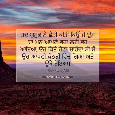 Picture 07 - ਪੈਦਾਇਸ਼ 43:30 PANIRV - ਤਦ ਯੂਸੁਫ਼ ਨੇ ਛੇਤੀ - Bible Verse Picture