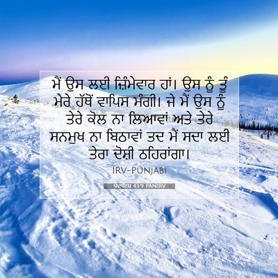 Picture 07 - ਪੈਦਾਇਸ਼ 43:9 PANIRV - ਮੈਂ ਉਸ ਲਈ - Bible Verse Picture