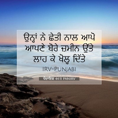 Picture 07 - ਪੈਦਾਇਸ਼ 44:11 PANIRV - ਉਨ੍ਹਾਂ ਨੇ ਛੇਤੀ ਨਾਲ - Bible Verse Picture