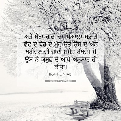 Picture 07 - ਪੈਦਾਇਸ਼ 44:2 PANIRV - ਅਤੇ ਮੇਰਾ ਚਾਂਦੀ ਦਾ - Bible Verse Picture