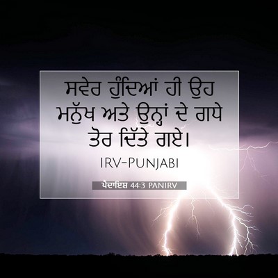 Picture 07 - ਪੈਦਾਇਸ਼ 44:3 PANIRV - ਸਵੇਰ ਹੁੰਦਿਆਂ ਹੀ ਉਹ - Bible Verse Picture