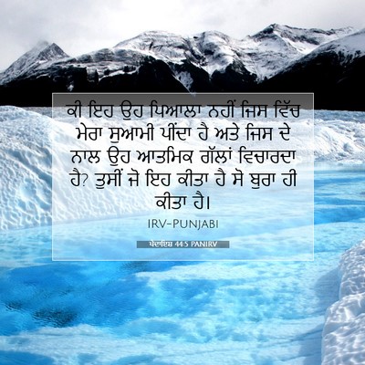 Picture 07 - ਪੈਦਾਇਸ਼ 44:5 PANIRV - ਕੀ ਇਹ ਉਹ ਪਿਆਲਾ ਨਹੀਂ - Bible Verse Picture