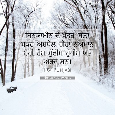 Picture 07 - ਪੈਦਾਇਸ਼ 46:21 PANIRV - ਬਿਨਯਾਮੀਨ ਦੇ ਪੁੱਤਰ: - Bible Verse Picture