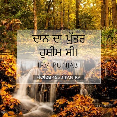 Picture 07 - ਪੈਦਾਇਸ਼ 46:23 PANIRV - ਦਾਨ ਦਾ ਪੁੱਤਰ - Bible Verse Picture