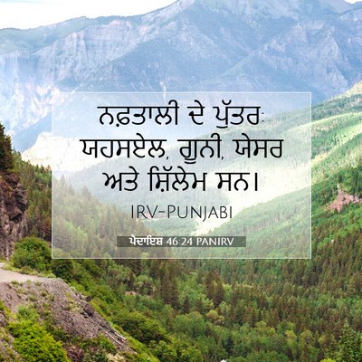 Picture 07 - ਪੈਦਾਇਸ਼ 46:24 PANIRV - ਨਫ਼ਤਾਲੀ ਦੇ ਪੁੱਤਰ: - Bible Verse Picture