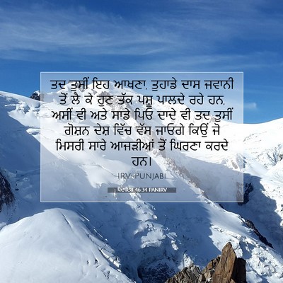 Picture 07 - ਪੈਦਾਇਸ਼ 46:34 PANIRV - ਤਦ ਤੁਸੀਂ ਇਹ ਆਖਣਾ, - Bible Verse Picture