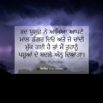 Picture 07 - ਪੈਦਾਇਸ਼ 47:16 PANIRV - ਤਦ ਯੂਸੁਫ਼ ਨੇ ਆਖਿਆ, - Bible Verse Picture