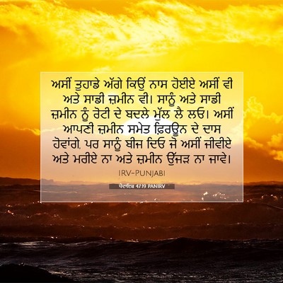 Picture 07 - ਪੈਦਾਇਸ਼ 47:19 PANIRV - ਅਸੀਂ ਤੁਹਾਡੇ ਅੱਗੇ - Bible Verse Picture