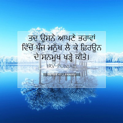 Picture 07 - ਪੈਦਾਇਸ਼ 47:2 PANIRV - ਤਦ ਉਸਨੇ ਆਪਣੇ - Bible Verse Picture