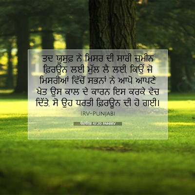 Picture 07 - ਪੈਦਾਇਸ਼ 47:20 PANIRV - ਤਦ ਯੂਸੁਫ਼ ਨੇ ਮਿਸਰ - Bible Verse Picture