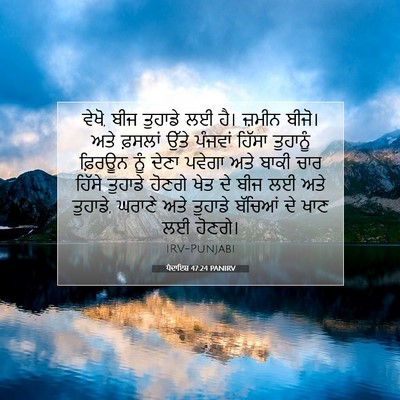 Picture 07 - ਪੈਦਾਇਸ਼ 47:24 PANIRV - ਵੇਖੋ, ਬੀਜ ਤੁਹਾਡੇ ਲਈ - Bible Verse Picture