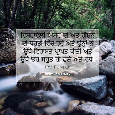 Picture 07 - ਪੈਦਾਇਸ਼ 47:27 PANIRV - ਇਸਰਾਏਲੀ ਮਿਸਰ ਦੀ - Bible Verse Picture