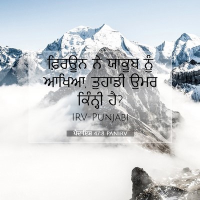 Picture 07 - ਪੈਦਾਇਸ਼ 47:8 PANIRV - ਫ਼ਿਰਊਨ ਨੇ ਯਾਕੂਬ - Bible Verse Picture