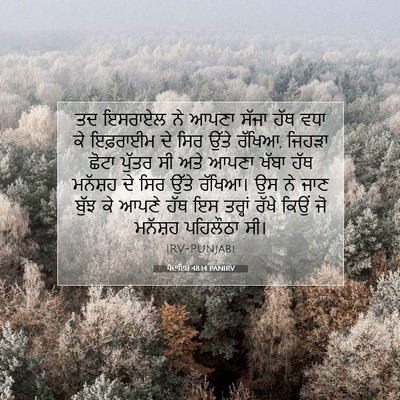 Picture 07 - ਪੈਦਾਇਸ਼ 48:14 PANIRV - ਤਦ ਇਸਰਾਏਲ ਨੇ ਆਪਣਾ - Bible Verse Picture