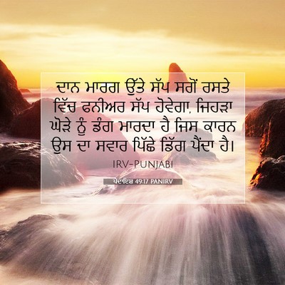 Picture 07 - ਪੈਦਾਇਸ਼ 49:17 PANIRV - ਦਾਨ ਮਾਰਗ ਉੱਤੇ ਸੱਪ - Bible Verse Picture