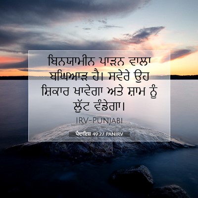 Picture 07 - ਪੈਦਾਇਸ਼ 49:27 PANIRV - ਬਿਨਯਾਮੀਨ ਪਾੜਨ - Bible Verse Picture