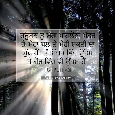 Picture 07 - ਪੈਦਾਇਸ਼ 49:3 PANIRV - ਰਊਬੇਨ ਤੂੰ ਮੇਰਾ - Bible Verse Picture